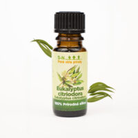 Eukalyptus Citriodora (10 ml)